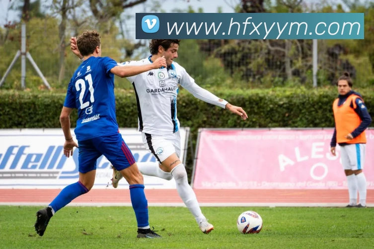 App Interface Preview